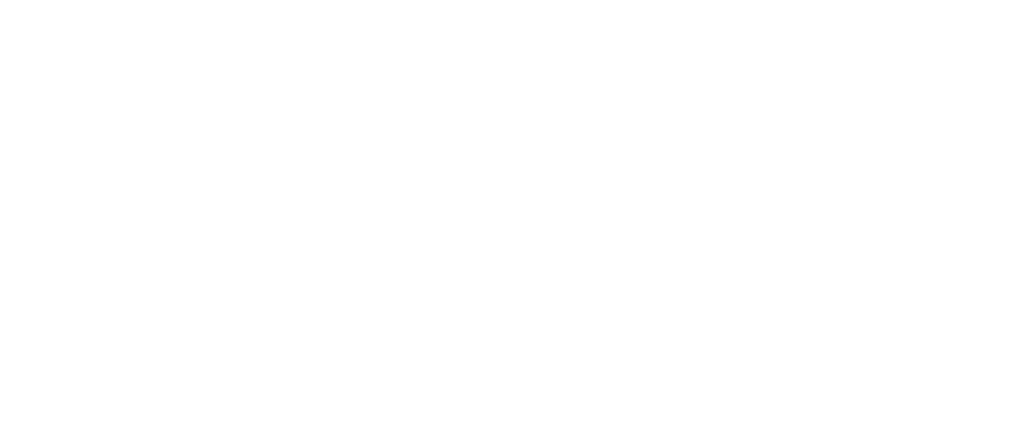 logo stb bianco